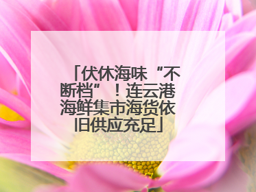 伏休海味“不断档”！连云港海鲜集市海货依旧供应充足