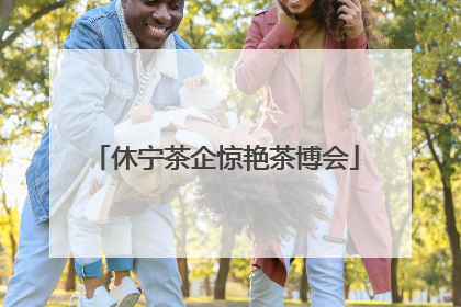 休宁茶企惊艳茶博会
