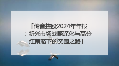 传音控股2024年年报：新兴市场战略深化与高分红策略下的突围之路