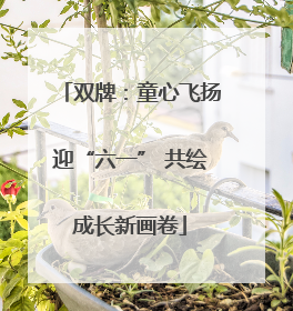 双牌：童心飞扬迎“六一” 共绘成长新画卷