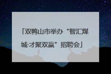 双鸭山市举办“智汇煤城·才聚双赢”招聘会