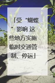 受“蝴蝶”影响 这些地方实施临时交通管制、停运