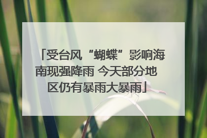 受台风“蝴蝶”影响海南现强降雨 今天部分地区仍有暴雨大暴雨