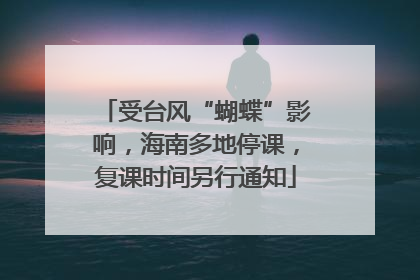 受台风“蝴蝶”影响，海南多地停课，复课时间另行通知
