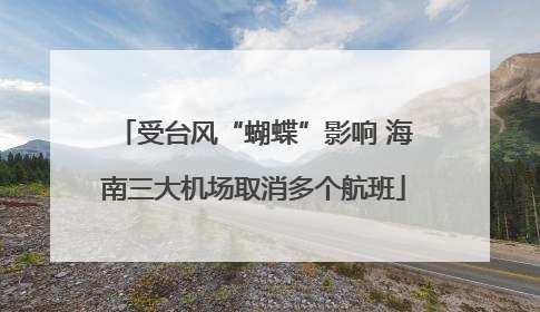 受台风“蝴蝶”影响 海南三大机场取消多个航班