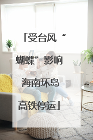 受台风“蝴蝶”影响 海南环岛高铁停运