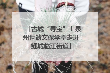 古城“寻宝”！泉州世遗文保学堂走进鲤城临江街道