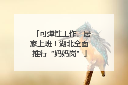 可弹性工作、居家上班！湖北全面推行“妈妈岗”