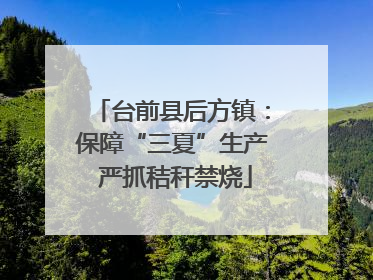 台前县后方镇：保障“三夏”生产 严抓秸秆禁烧