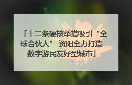 十二条硬核举措吸引“全球合伙人” 资阳全力打造数字游民友好型城市