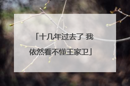 十几年过去了 我依然看不懂王家卫