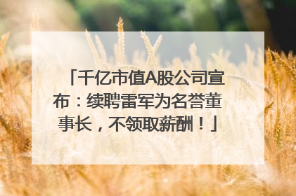 千亿市值A股公司宣布：续聘雷军为名誉董事长，不领取薪酬！