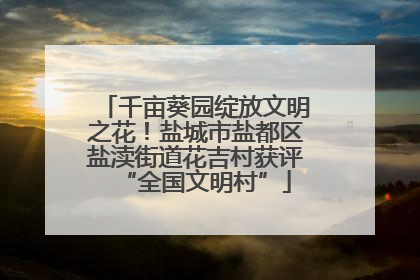 千亩葵园绽放文明之花！盐城市盐都区盐渎街道花吉村获评“全国文明村”