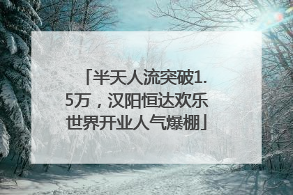 半天人流突破1.5万，汉阳恒达欢乐世界开业人气爆棚