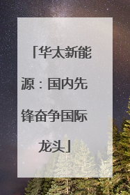 华太新能源：国内先锋奋争国际龙头