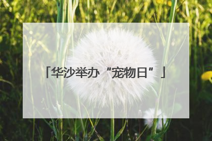 华沙举办“宠物日”