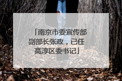 南京市委宣传部副部长张政，已任高淳区委书记