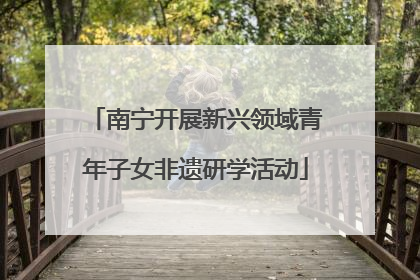 南宁开展新兴领域青年子女非遗研学活动