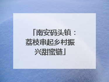 南安码头镇：荔枝串起乡村振兴甜蜜链