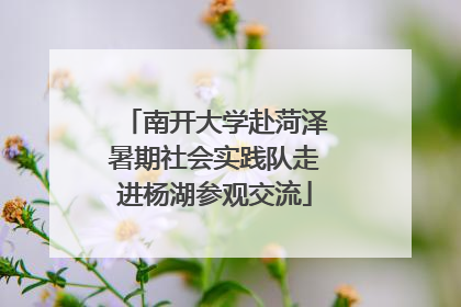 南开大学赴菏泽暑期社会实践队走进杨湖参观交流