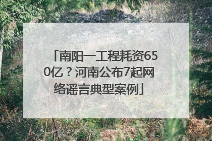 南阳一工程耗资650亿？河南公布7起网络谣言典型案例