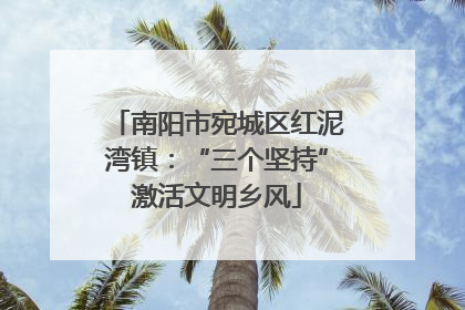 南阳市宛城区红泥湾镇：“三个坚持”激活文明乡风