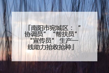 南阳市宛城区：“协调员”“帮扶员”“宣传员” 生产一线助力抢收抢种