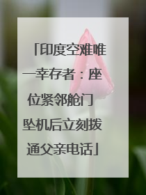 印度空难唯一幸存者：座位紧邻舱门 坠机后立刻拨通父亲电话