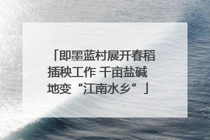 即墨蓝村展开春稻插秧工作 千亩盐碱地变“江南水乡”