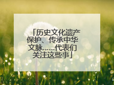 历史文化遗产保护、传承中华文脉……代表们关注这些事