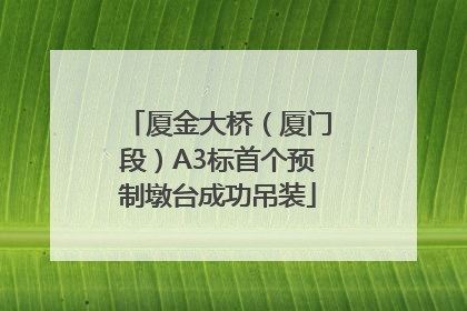 厦金大桥（厦门段）A3标首个预制墩台成功吊装
