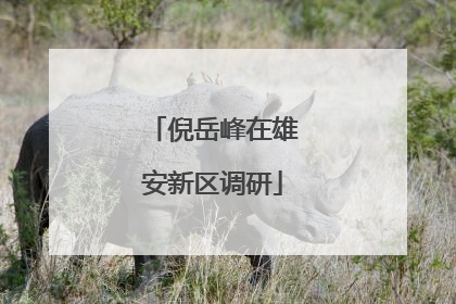 倪岳峰在雄安新区调研