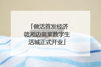 做活首发经济 赣湘边奥莱数字生活城正式开业