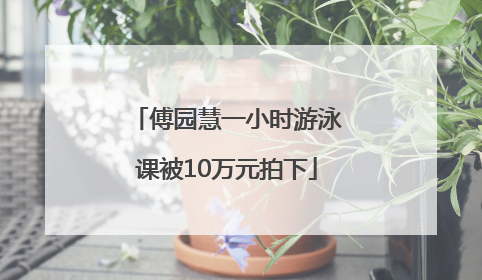 傅园慧一小时游泳课被10万元拍下