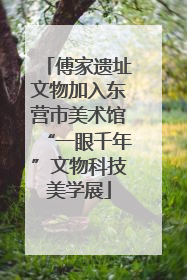 傅家遗址文物加入东营市美术馆“一眼千年”文物科技美学展