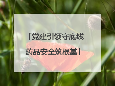 党建引领守底线 药品安全筑根基