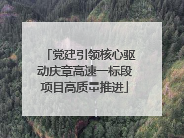 党建引领核心驱动庆章高速一标段项目高质量推进
