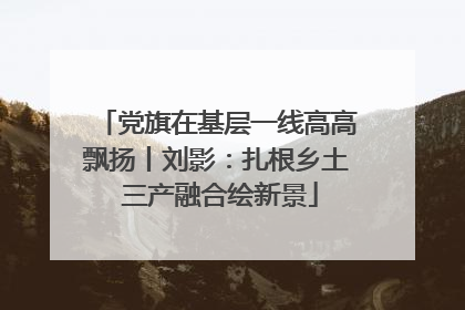 党旗在基层一线高高飘扬丨刘影：扎根乡土 三产融合绘新景