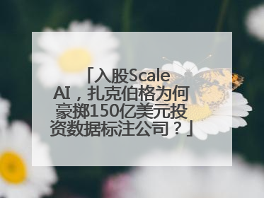 入股Scale AI，扎克伯格为何豪掷150亿美元投资数据标注公司？