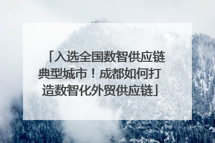 入选全国数智供应链典型城市！成都如何打造数智化外贸供应链