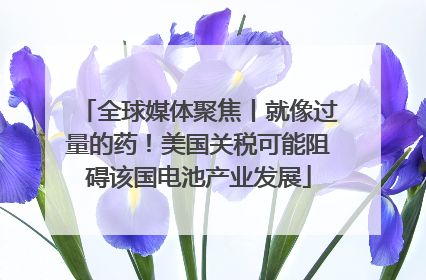 全球媒体聚焦丨就像过量的药！美国关税可能阻碍该国电池产业发展
