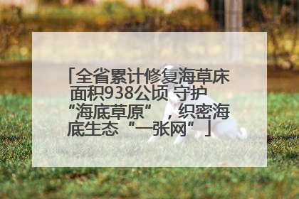 全省累计修复海草床面积938公顷 守护“海底草原”，织密海底生态“一张网”