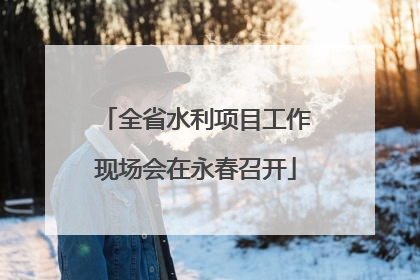 全省水利项目工作现场会在永春召开