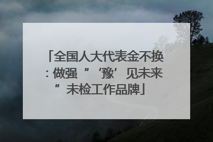 全国人大代表金不换：做强“‘豫’见未来”未检工作品牌