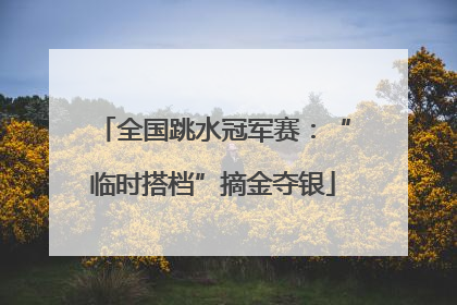 全国跳水冠军赛：“临时搭档”摘金夺银