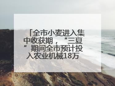 全市小麦进入集中收获期，“三夏”期间全市预计投入农业机械18万台（套）