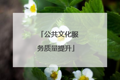 公共文化服务质量提升