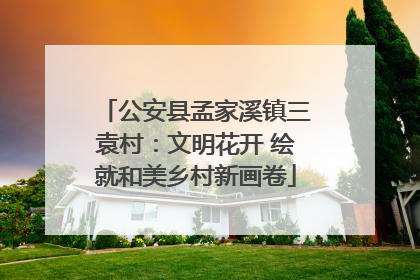 公安县孟家溪镇三袁村：文明花开 绘就和美乡村新画卷