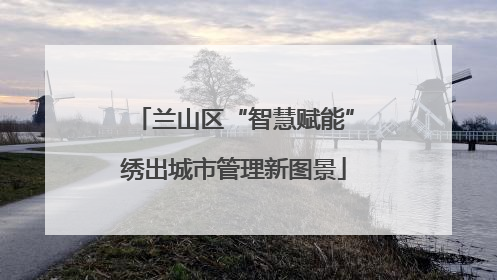 兰山区“智慧赋能”绣出城市管理新图景