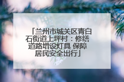 兰州市城关区青白石街道上坪村：修缮道路增设灯具 保障居民安全出行